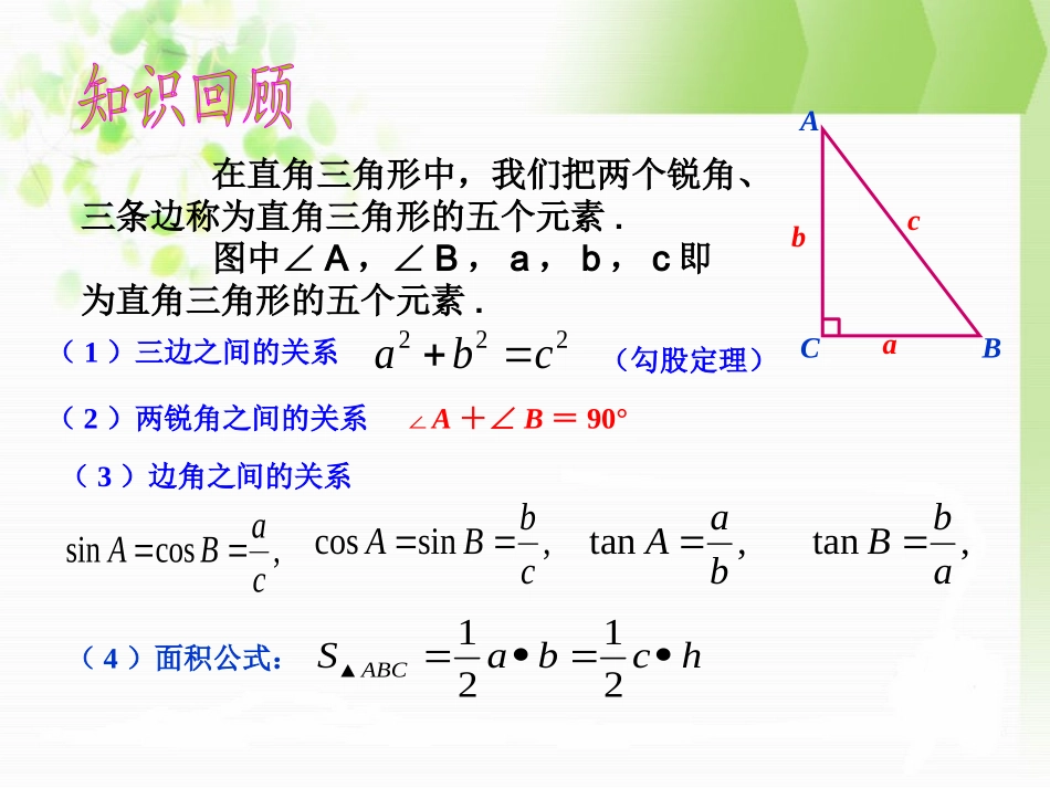 解直角三角形 (2)_第3页