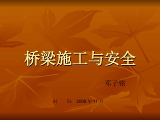 桥梁施工与安全