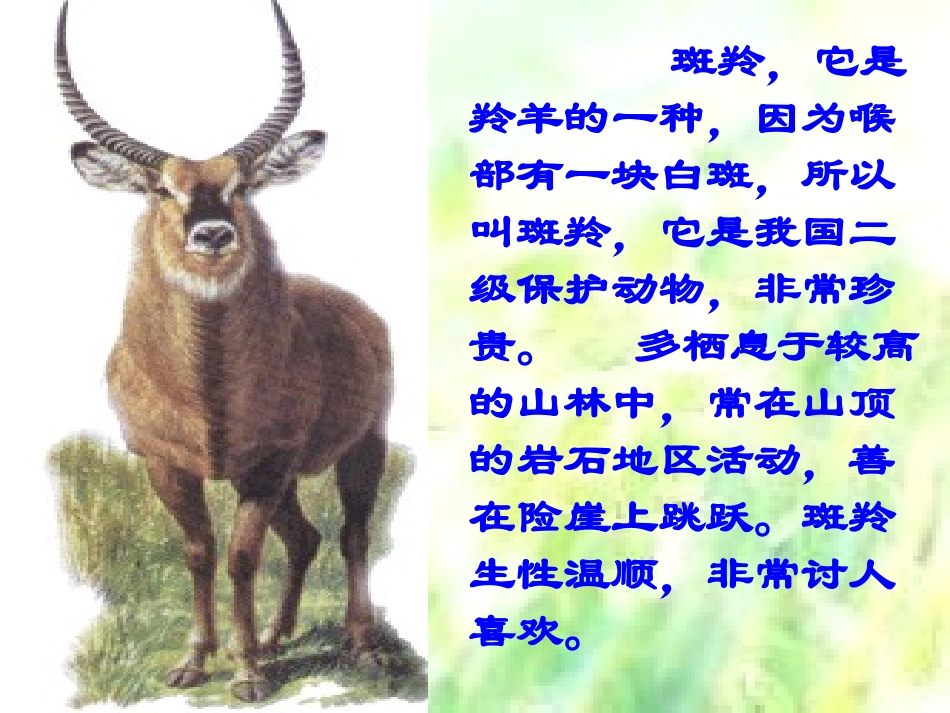 2014年春（人教版）七下课件：斑羚飞渡（浅层阅读深层阅读语文积累，38页）_第3页