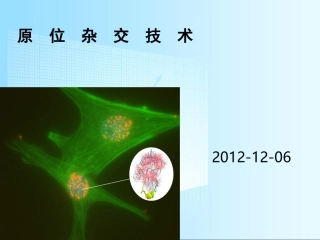 原位杂交技术