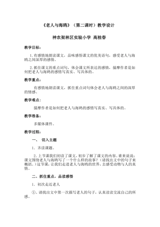 《老人与海鸥》教学设计