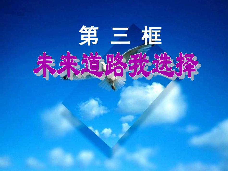 《未来道路我选择》参考课件1_第1页