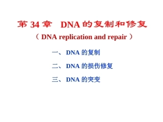 生物化学第34章DNA的复制和修复