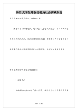 2024大学生寒假促销员社会实践报告_4