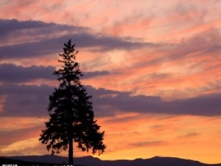 四年级上语文4、《火烧云》加艳梅