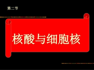 高一生物核酸与细胞核