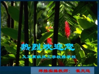 崔天运CO2气体保护焊制作