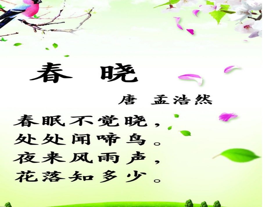 春晓演示文稿1_第1页