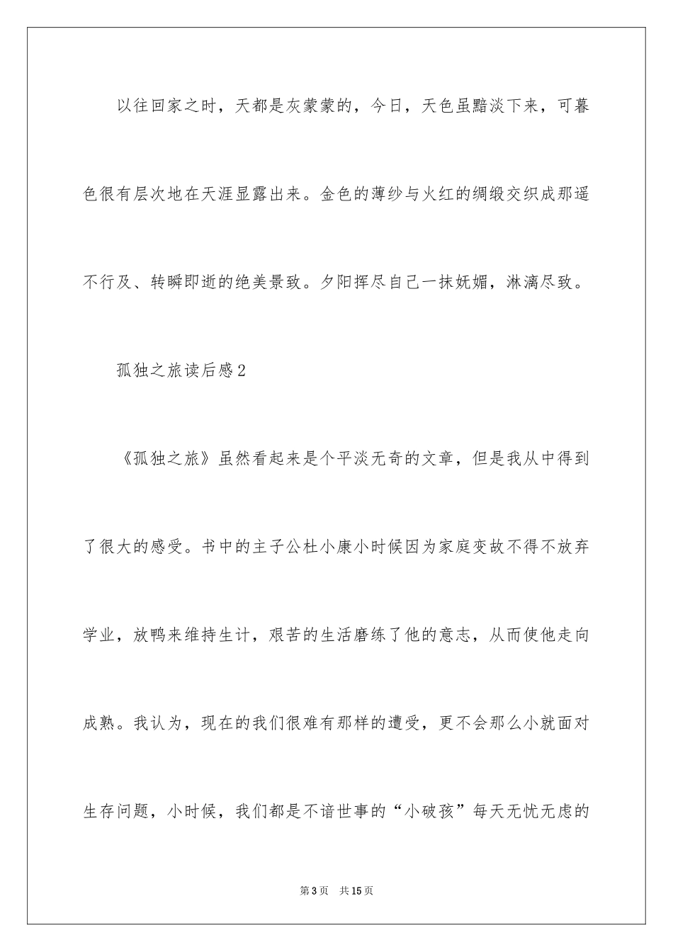 2024孤独之旅读后感_2_第3页