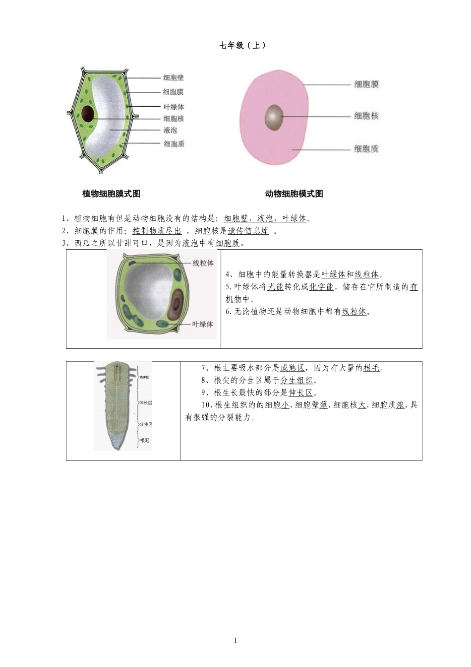 初中生物图集_第1页