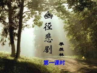 幽径悲剧课件 (2)