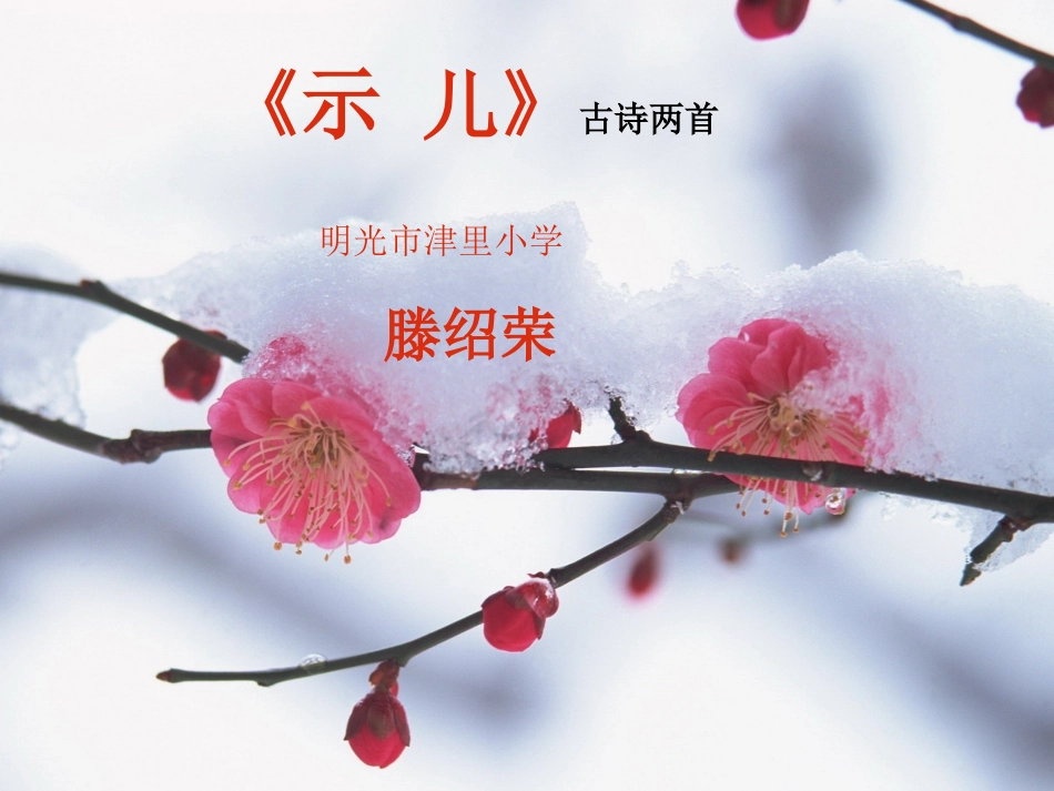 古诗两首（六年级）_第1页