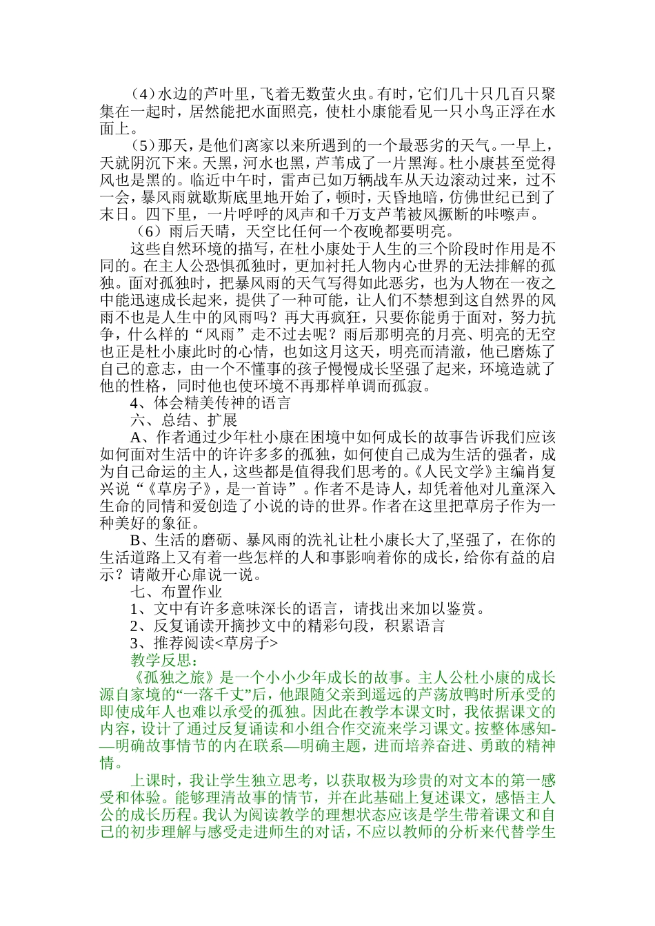 孤独之旅教学设计_第3页