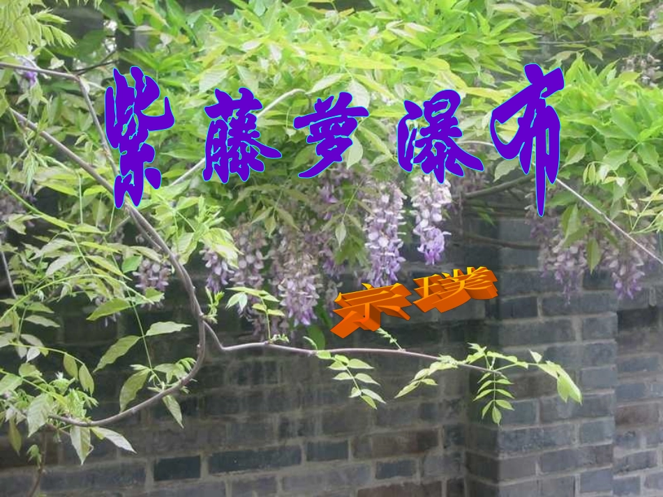 《紫藤萝瀑布》课件_第3页