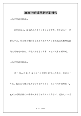 2024出纳试用期述职报告