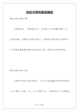 2024大学生职业规划_8