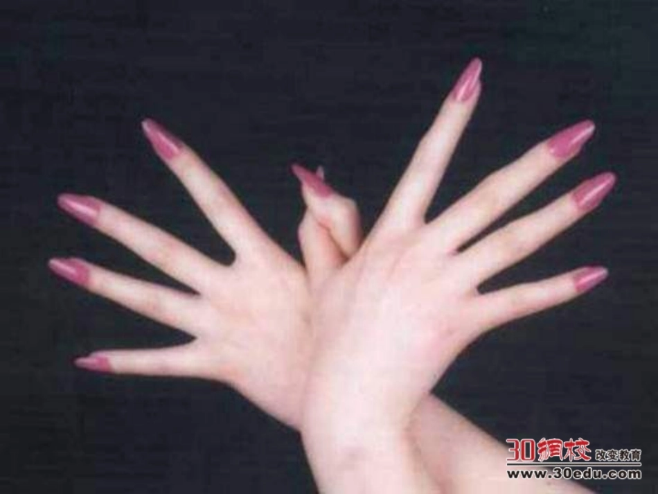 人教版小学语文六年级下册《手指》课件_第2页