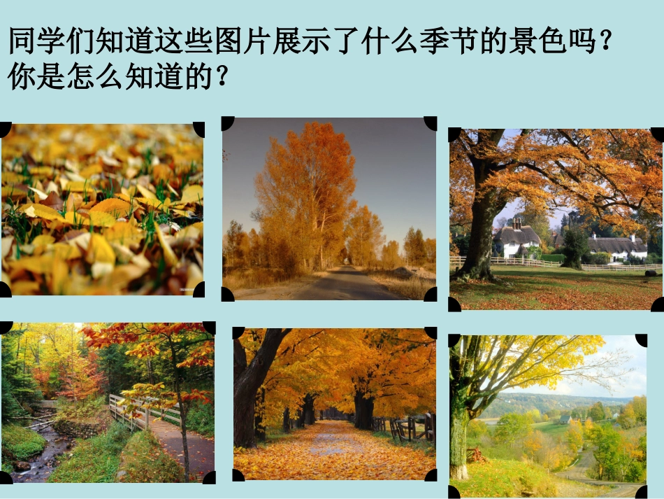 苏教版三年级上册语文习作4_第2页