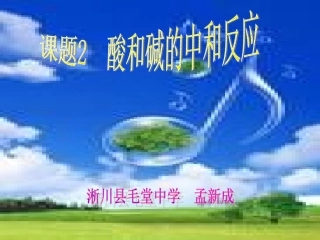 酸和碱的中和反应孟新成