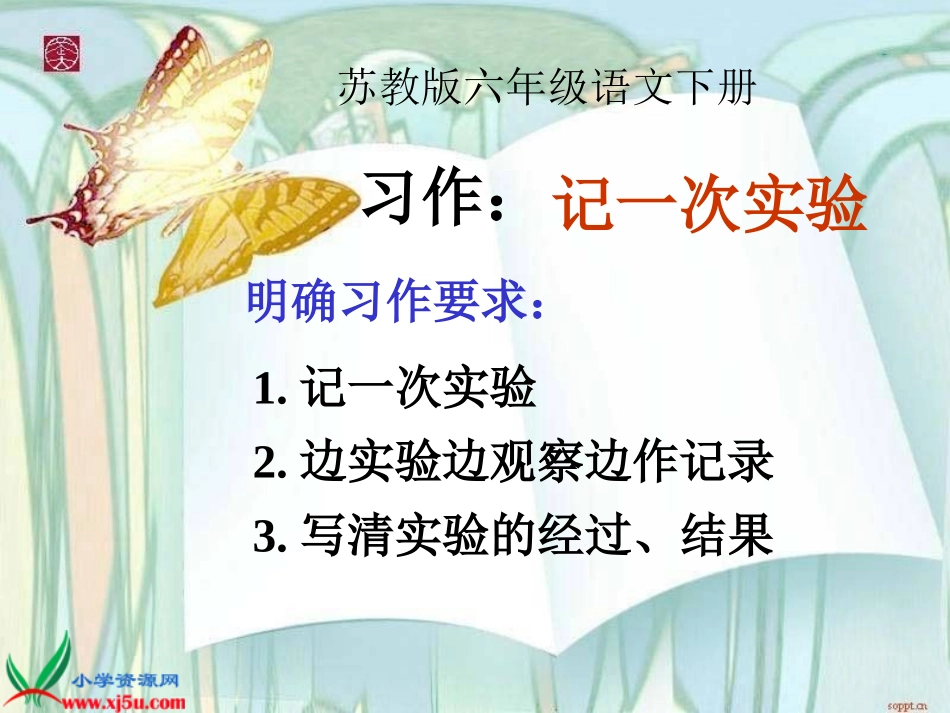 苏教版六年级下册习作四_第1页
