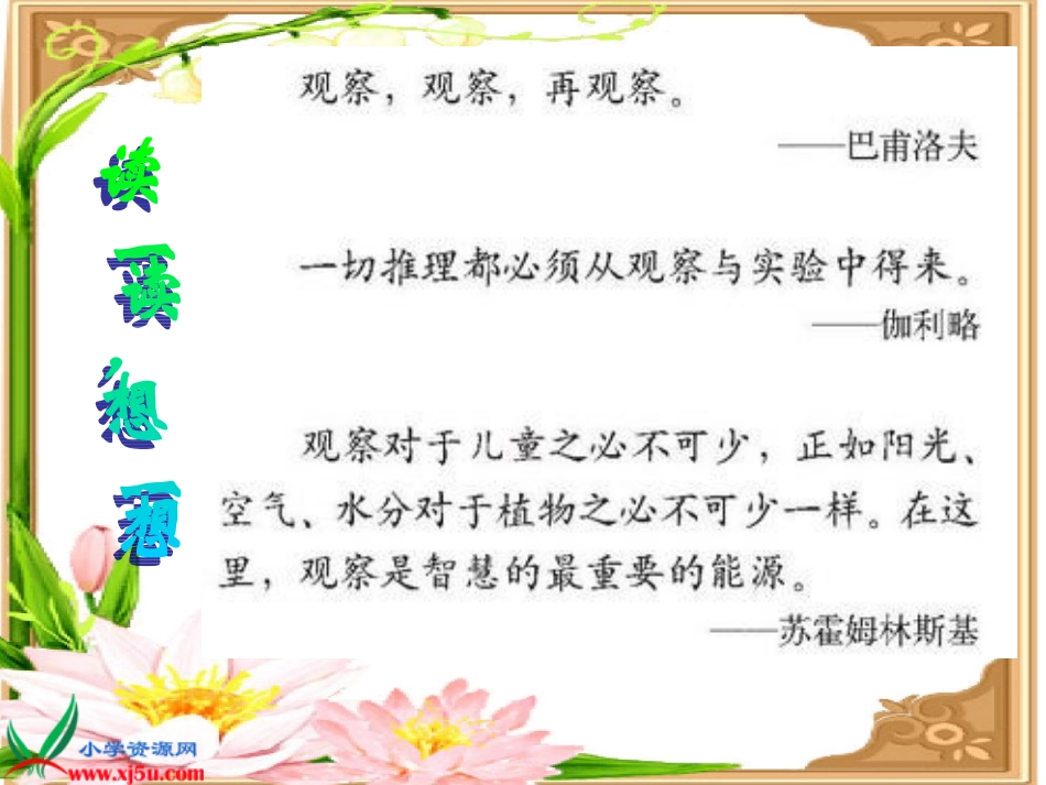 苏教版六年级下册习作四_第2页