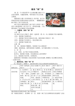 中小幼柿子班本故事公开课教案教学设计课件