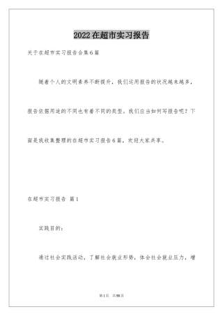 2024在超市实习报告_60