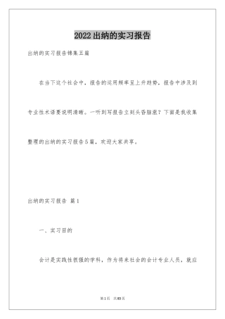 2024出纳的实习报告_1