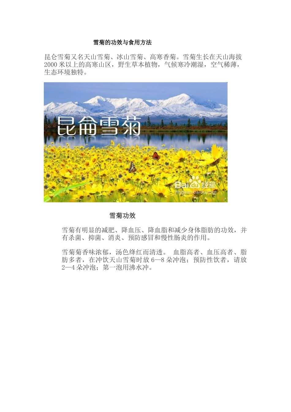 雪菊的功效与食用方法_第1页