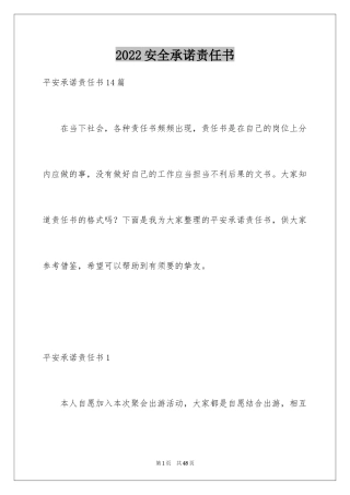 2024安全承诺责任书_9