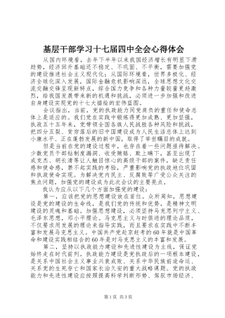 基层干部学习十七届四中全会心得体会