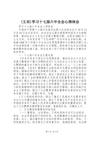 (王双)学习十七届六中全会心得体会