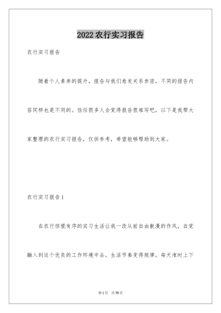 2024农行实习报告_1