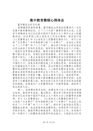 集中教育整顿心得体会