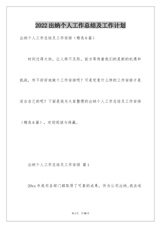 2024出纳个人工作总结及工作计划