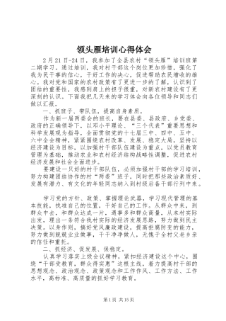 领头雁培训心得体会