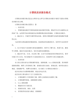 计算机实训报告格式 