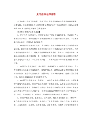 见习指导老师评语 