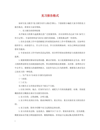 见习报告格式 