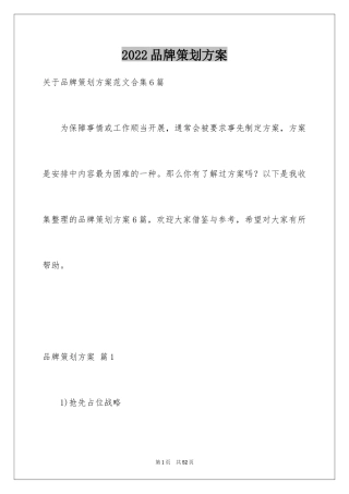 2024品牌策划方案