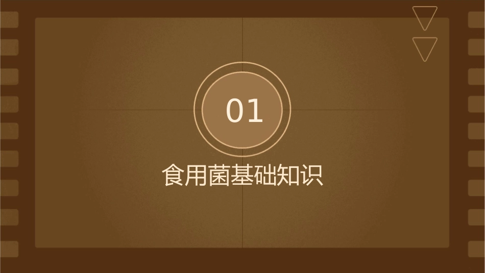 食用菌各级菌种的制作课件_第3页