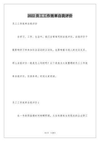 2024员工工作效率自我评价