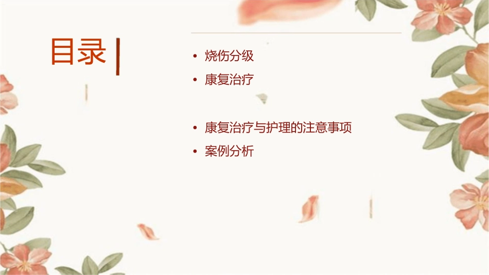 烧伤分级及康复治疗护理课件_第2页