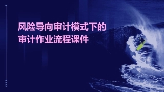 风险导向审计模式下的审计作业流程课件