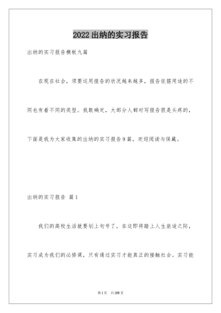 2024出纳的实习报告_11