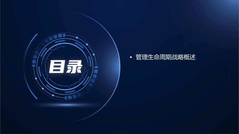 管理生命周期战略课件_第2页