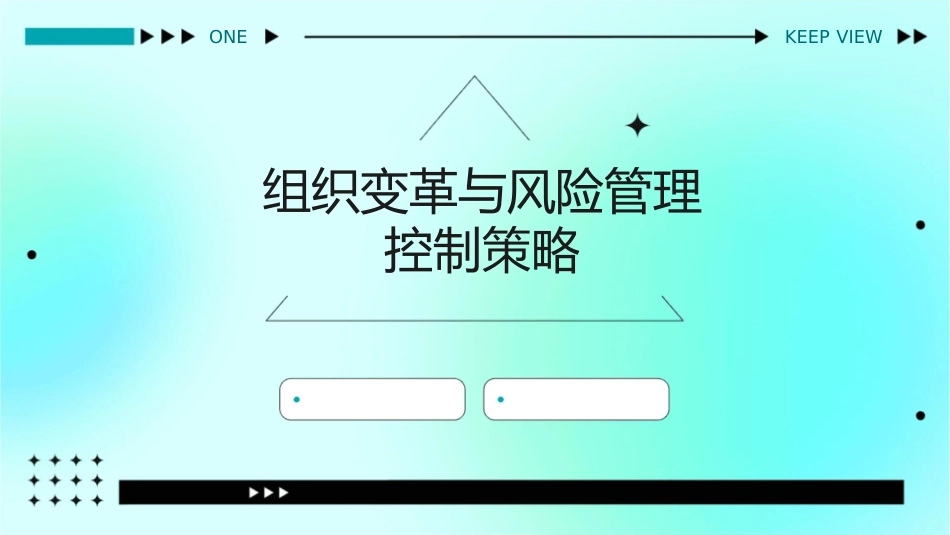 组织变革与风险管理控制策略课件_第1页
