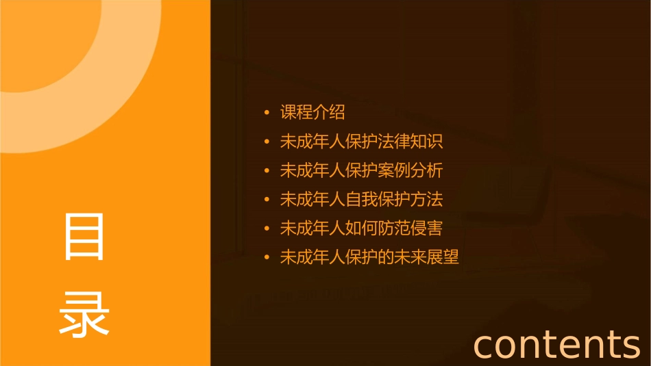 未成年人保护主题班会课件_第2页