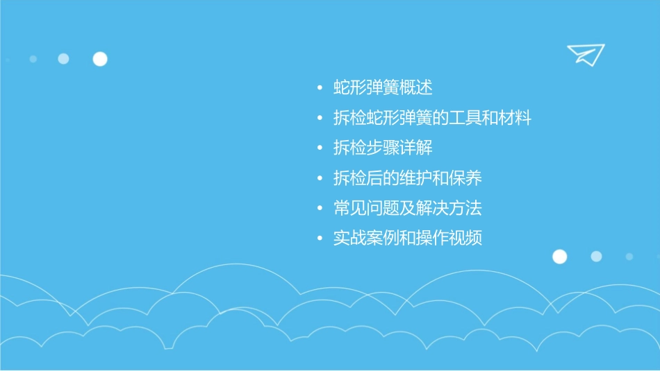 拆检蛇形弹簧课件_第2页