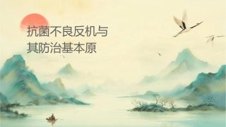 抗菌药不良反应机理与其防治基本原则课件